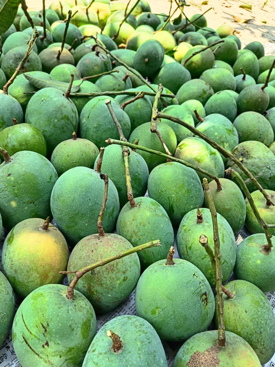 সিজনাল ফুড