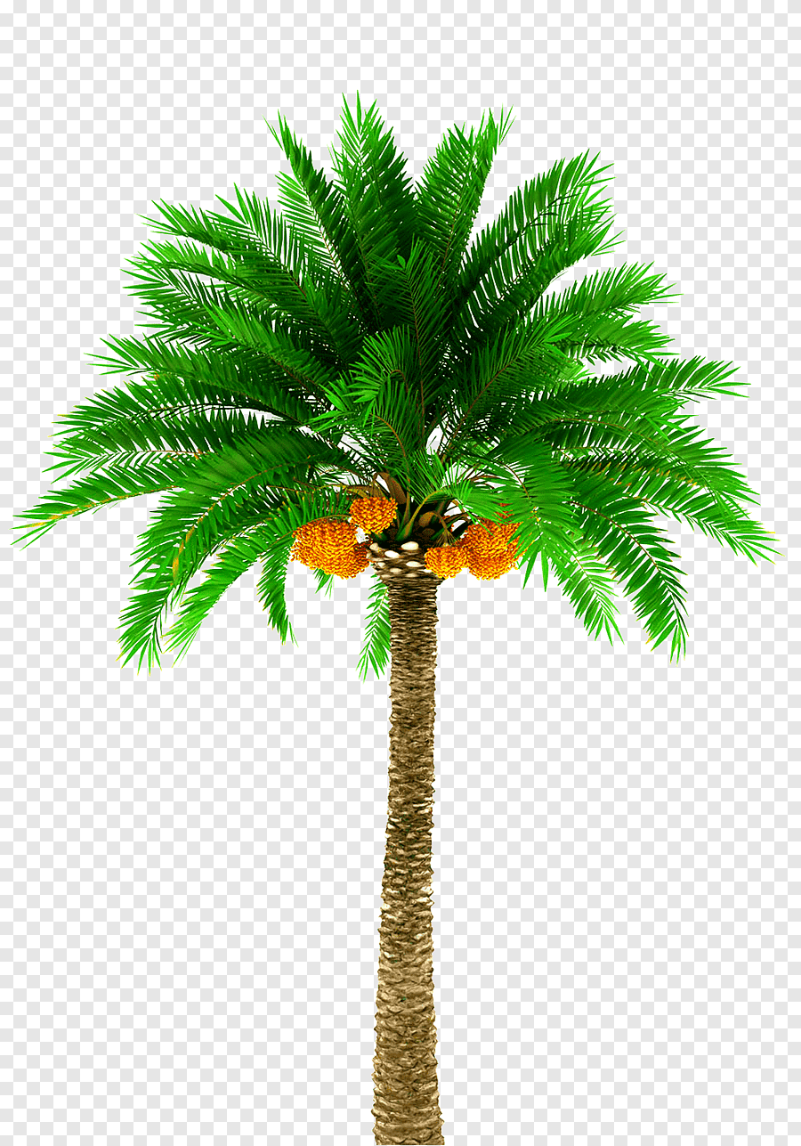 খেজুরের রস ও গুঁড়